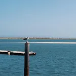 Apartmán Baixamar *